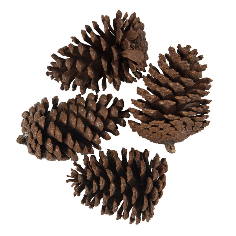 Clayre & Eef Decoration Set of 4 Pinecone 8/10 cm Brown Wood