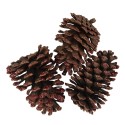 Clayre & Eef Decorative Pinecone Set of 3 8/10 cm Brown Wood