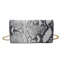 Juleeze Women's Handbag 18x10x5 cm / Ø 13 cm Silver colored Artificial Leather Rectangle Snake Leather