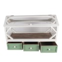 Clayre & Eef Decorative Propagation Box 76x33x51 cm White Green Wood Glass Rectangle