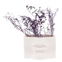 Clayre & Eef Pot de fleurs d'intérieur 17x7x11 cm Blanc Céramique Rectangle