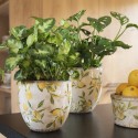 Clayre & Eef Pot de fleurs Ø 18x17 cm Jaune Céramique Citron
