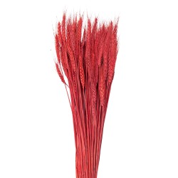Clayre & Eef Dried Flowers 80 cm Red
