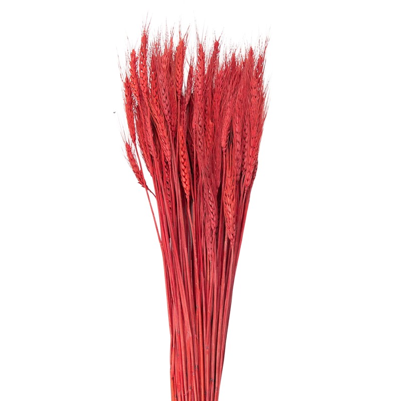 Clayre & Eef Fleurs séchées 80 cm Rouge Fleurs séchées