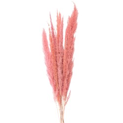 Clayre & Eef Dried Flowers 100 cm Pink