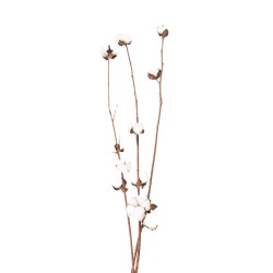 Clayre & Eef Dried Flowers 80 cm  White Brown