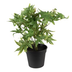 Clayre & Eef Plante artificielle 36 cm Vert Plastique