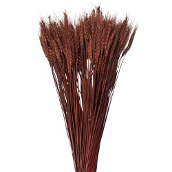 Clayre & Eef Dried Flowers 80 cm Brown Dried Flowers