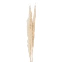 Clayre & Eef Dried Flowers 90 cm White Dried Flowers