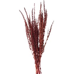 Clayre & Eef Dried Flowers 85 cm Red