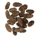 Clayre & Eef Decorative Pinecone Set of 15 7/9 cm Brown Wood