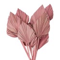 Clayre & Eef Dried Flowers 55 cm Pink Dried Flowers