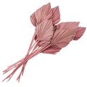 Clayre & Eef Droogbloemen  55 cm Roze Droogbloemen