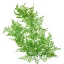 Clayre & Eef Fleur artificielle 80 cm Vert Plastique