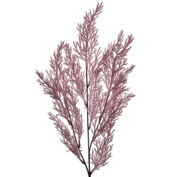 Clayre & Eef Kunstblume 75 cm Violett Kunststoff