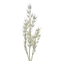 Clayre & Eef Fleur artificielle 72 cm Blanc Plastique