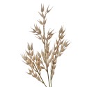 Clayre & Eef Artificial Flower 72 cm Beige Plastic