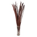 Clayre & Eef Droogbloemen  85 cm Rood Droogbloemen