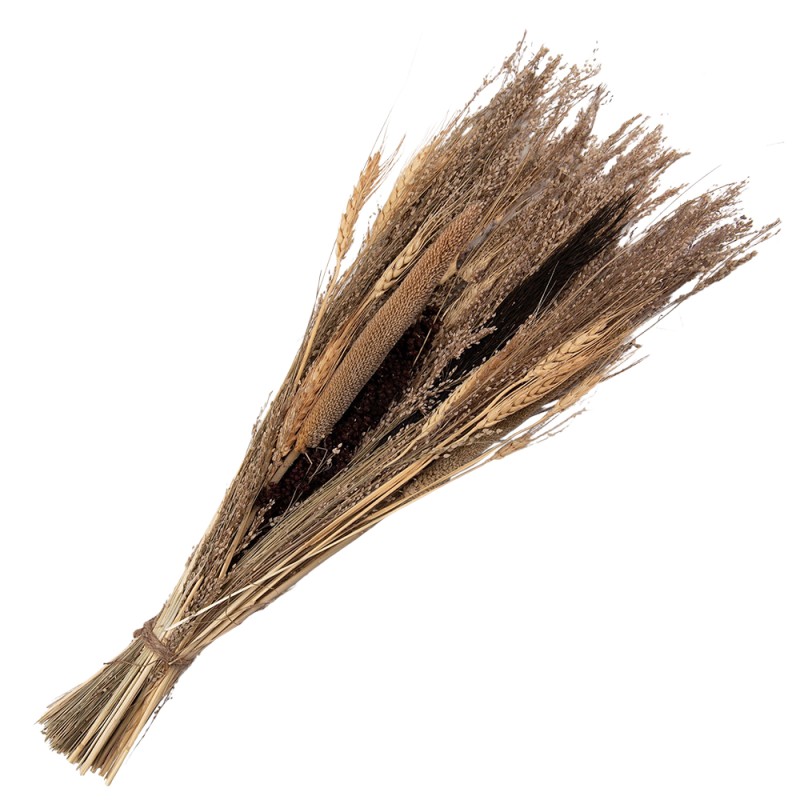 Clayre & Eef Trockenblumen 60 cm Beige Trockenblumen