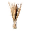 Clayre & Eef Trockenblumen 60 cm Beige Trockenblumen