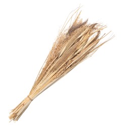 Clayre & Eef Dried Flowers 80 cm Beige Dried Flowers