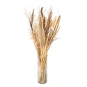 Clayre & Eef Fleurs séchées 80 cm Beige Fleurs séchées