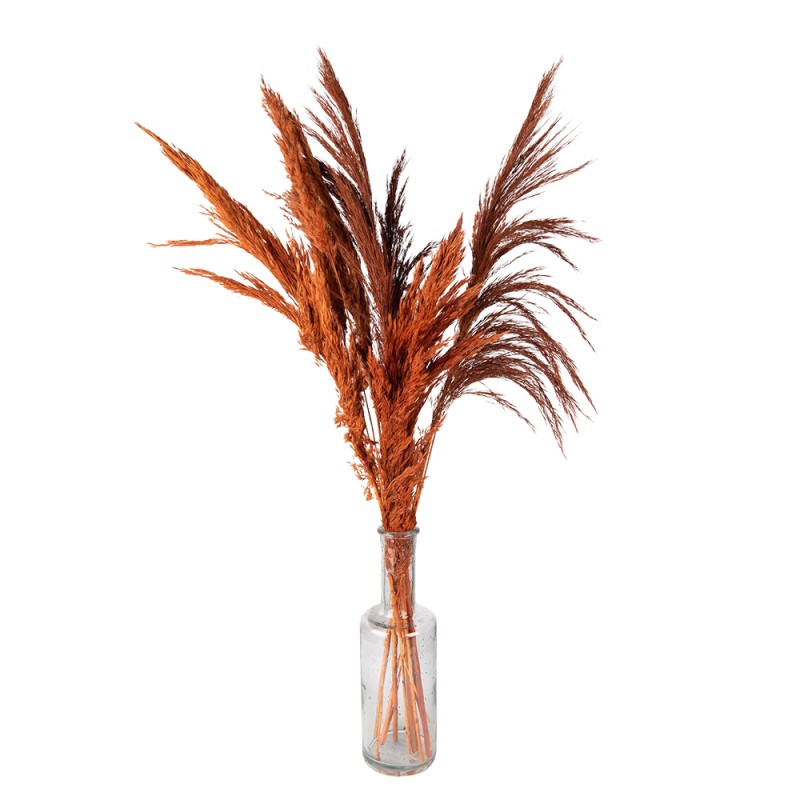 Clayre & Eef Trockenblumen 90 cm Orange Trockenblumen