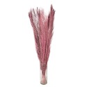 Clayre & Eef Fleurs séchées 100 cm Marron Fleurs séchées