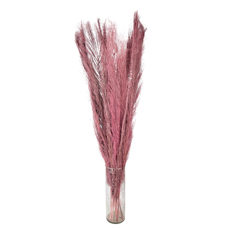 Clayre & Eef Fleurs séchées 100 cm Marron Fleurs séchées