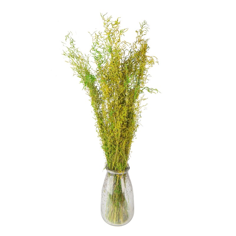 Clayre & Eef Dried Flowers 90 cm Green Dried Flowers