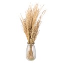 Clayre & Eef Fiori secchi 55 cm Beige Fiori secchi