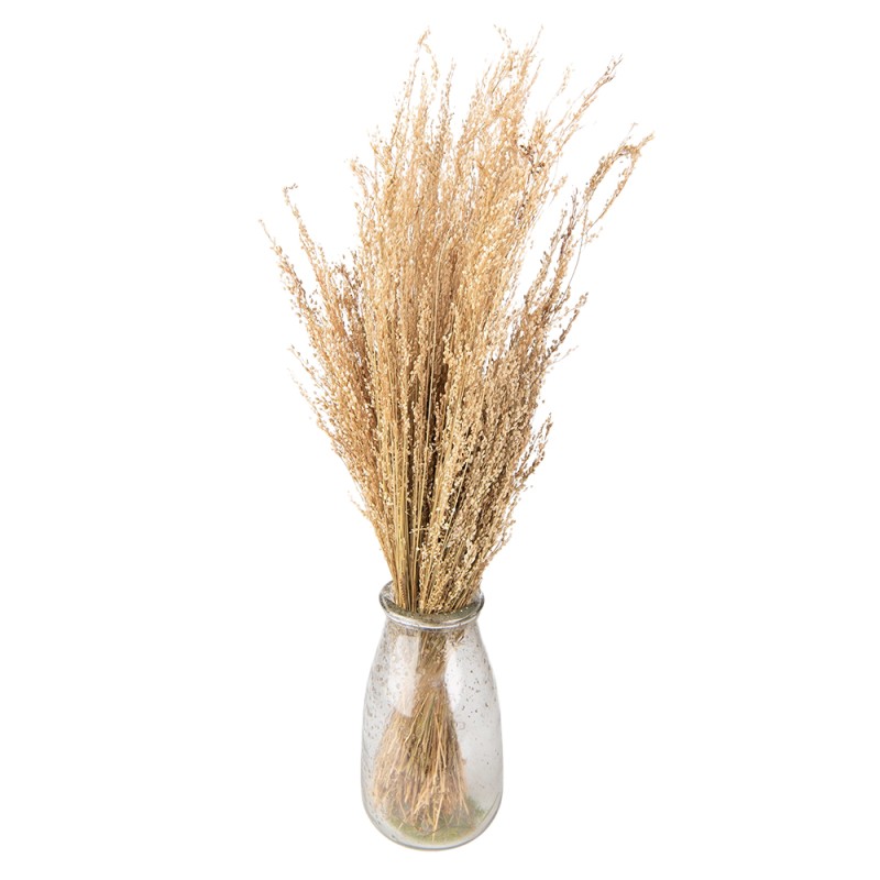 Clayre & Eef Fiori secchi 55 cm Beige Fiori secchi