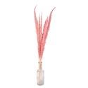 Clayre & Eef Droogbloemen  100 cm Roze Droogbloemen