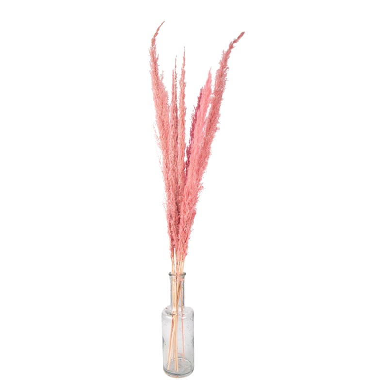 Clayre & Eef Droogbloemen  100 cm Roze Droogbloemen