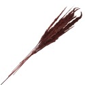 Clayre & Eef Trockenblumen 100 cm Braun Trockenblumen