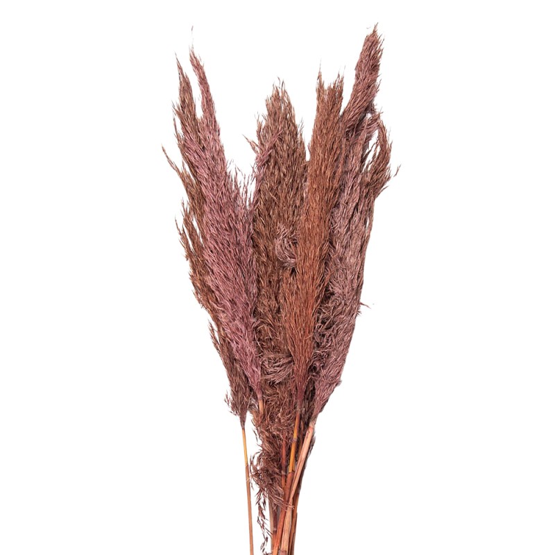 Clayre & Eef Droogbloemen  100 cm Roze Droogbloemen
