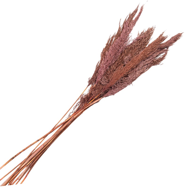 Clayre & Eef Droogbloemen  100 cm Roze Droogbloemen