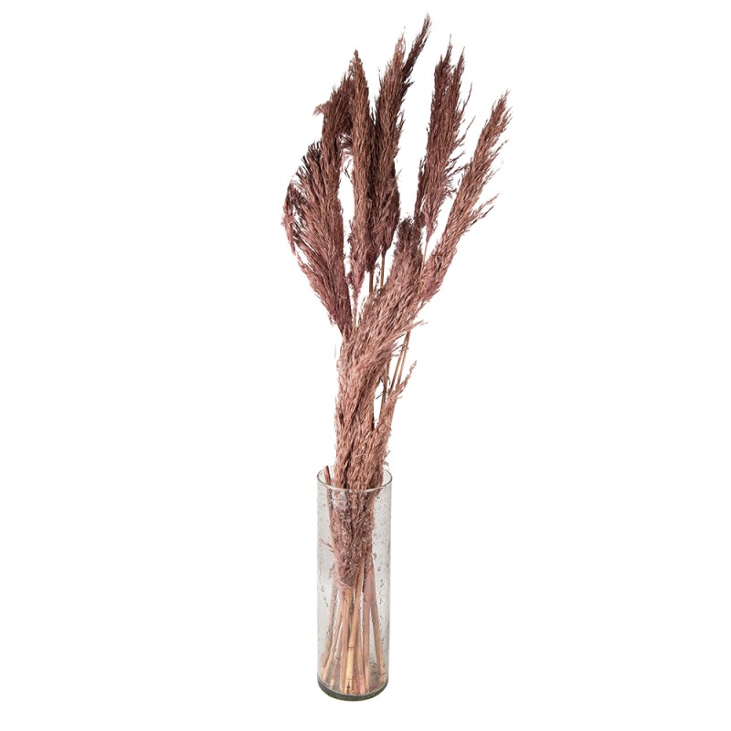 Clayre & Eef Droogbloemen  100 cm Roze Droogbloemen