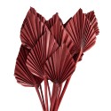 Clayre & Eef Dried Flowers 60 cm Pink Dried Flowers