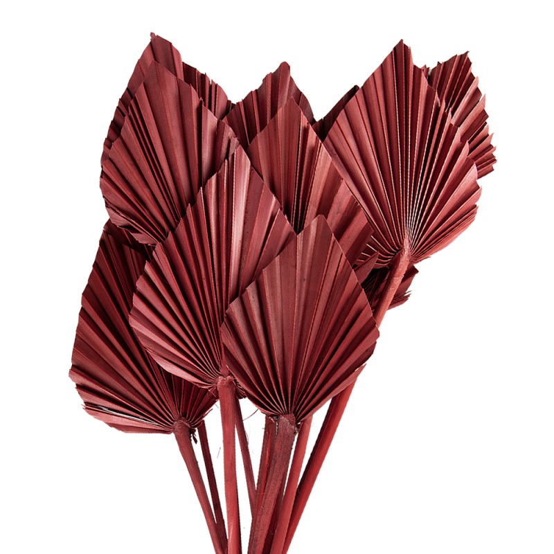 Clayre & Eef Dried Flowers 60 cm Pink Dried Flowers