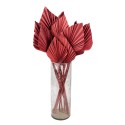 Clayre & Eef Dried Flowers 60 cm Pink Dried Flowers