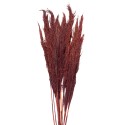 Clayre & Eef Droogbloemen  100 cm Rood Droogbloemen