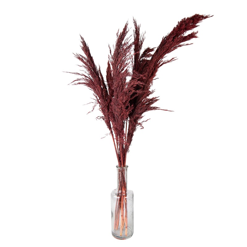 Clayre & Eef Droogbloemen  100 cm Rood Droogbloemen