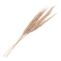 Clayre & Eef Trockenblumen 100 cm Beige Trockenblumen