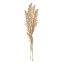 Clayre & Eef Dried Flowers 142 cm Beige Brown Dried Flowers