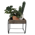 Clayre & Eef Plant Table 32x26x27 cm Brown Wood Iron