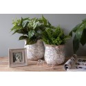Clayre & Eef Bloempot  Ø 15x14 cm Beige Grijs Keramiek Rond Bloemen