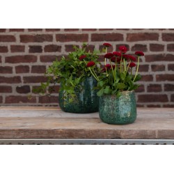 Clayre & Eef Blumentopf Ø 13x11 cm Grün Keramik Rund Blätter