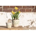 Clayre & Eef Planter Ø 8x7 cm Green White Ceramic Round Leaves
