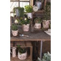 Clayre & Eef Statuetta Palla  Ø 12x11 cm Rosa Ceramica Rotondo Fiori